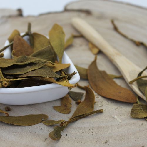 Imelo biele - vňať narezaná - Viscum album - Herba visci albi 250 g