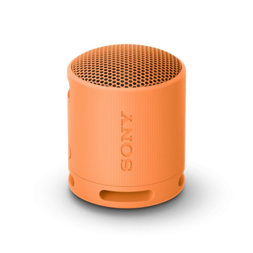 Sony SRS-XB100 Prenosný bezdrôtový reproduktor