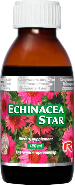Echinacea Star