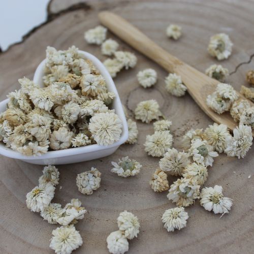 Harmanček rímsky - kvet - Anthemis nobilis - Flos chamomillae romanae 250 g