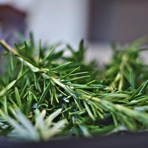 Naturálna voda z Rozmarínu Rosmarinus officinalis 1 l