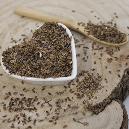 Kôpor voňavý - semeno celé - Anethum graveolens - Semen anethi 1000 g
