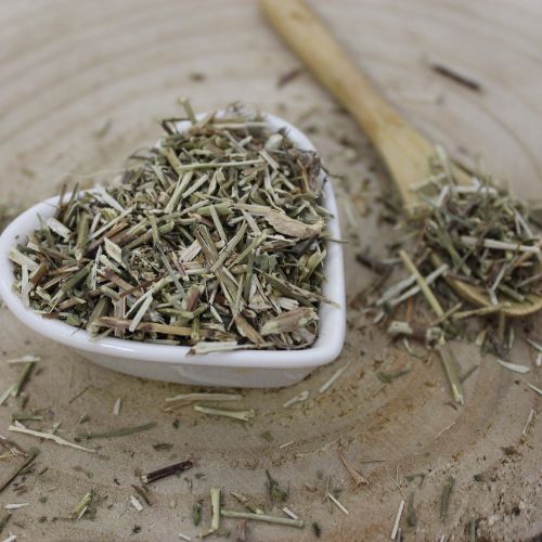 Kocúrnik obyčajný - vňať narezaná - Nepeta cataria - Herba nepetae catariae 250 g