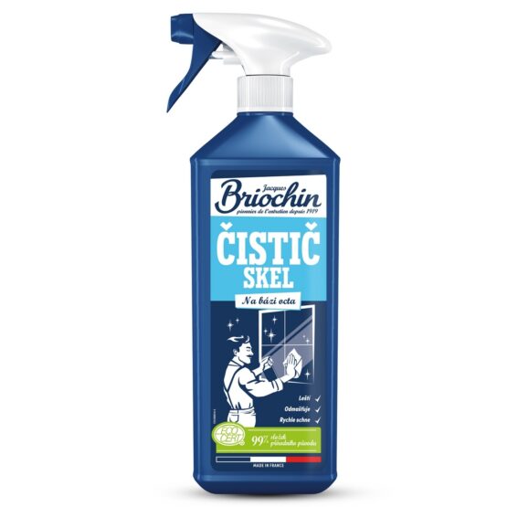 Briochin Čistič skiel