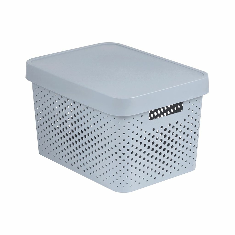 Curver Úložný box INFINITY 17 l