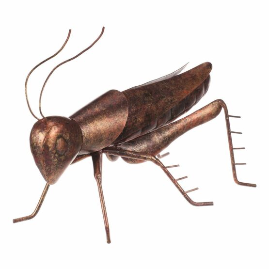 Kovová záhradná dekorácia Grasshopper