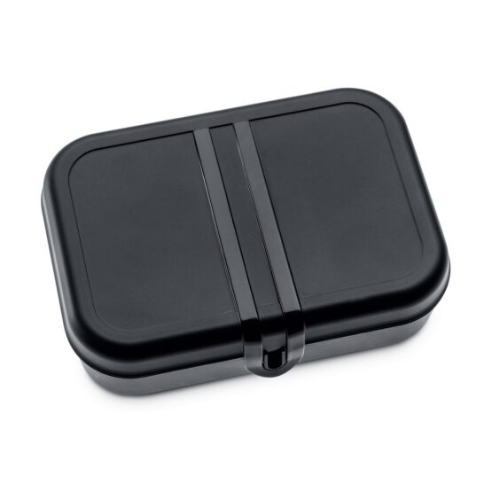 Koziol Box s prepážkou PASCAL