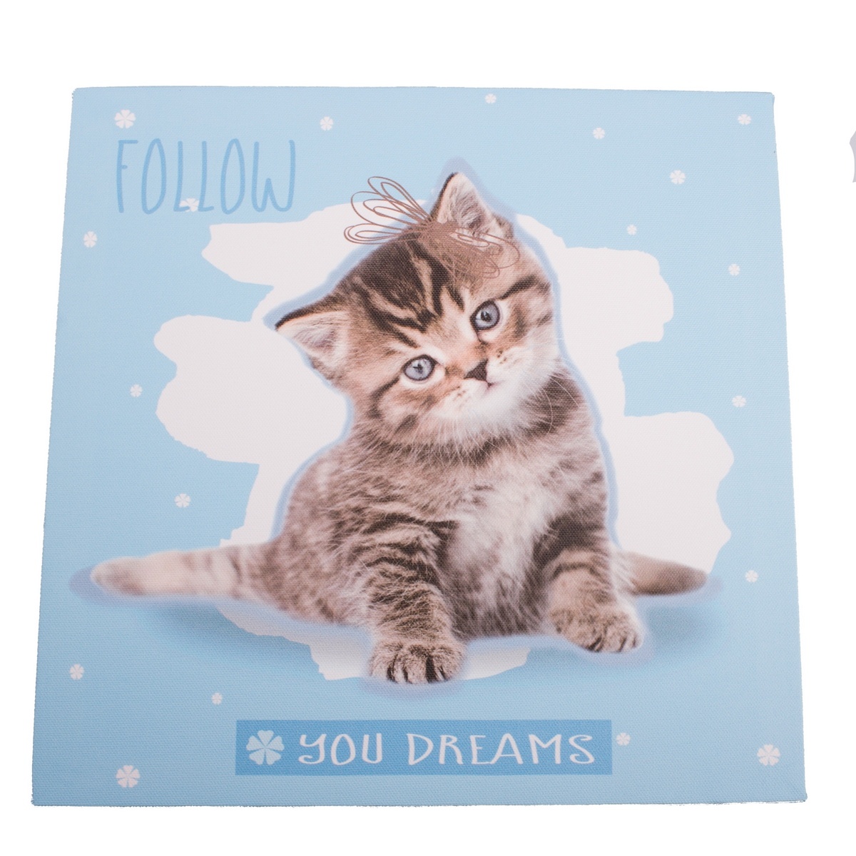 Obraz na plátne Kittie