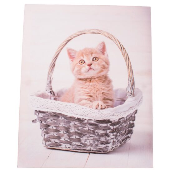 Obraz na plátne Kittie in basket