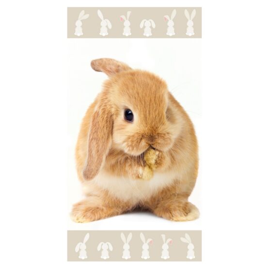 Jerry Fabrics Osuška Bunny brown
