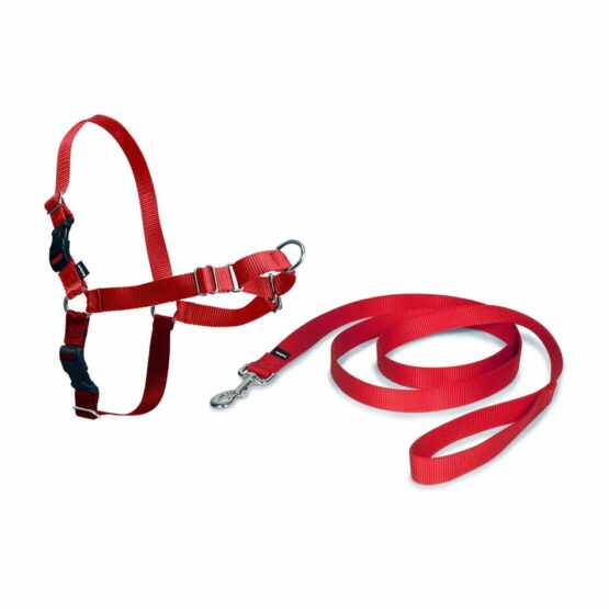 Postroj PetSafe EasyWalk červený M