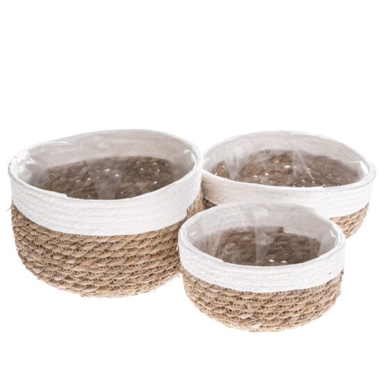 Sada obalov na kvetináč Sea grass