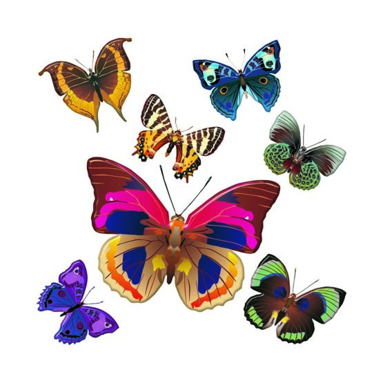 Samolepiaca dekorácia Butterflies