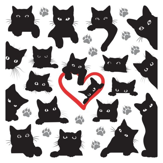 Samolepiaca dekorácia Cats