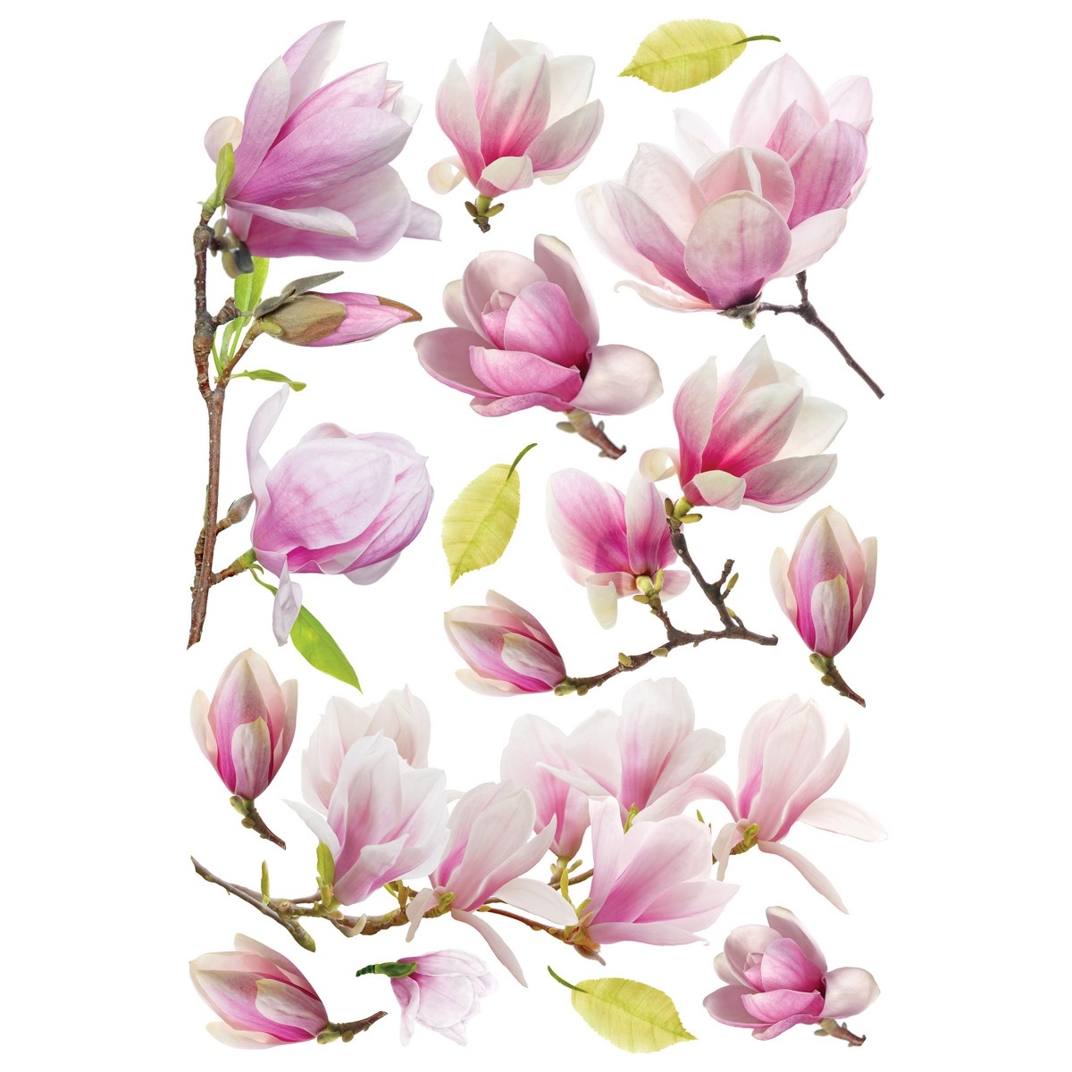 Samolepiaca dekorácia Magnolia Flowers