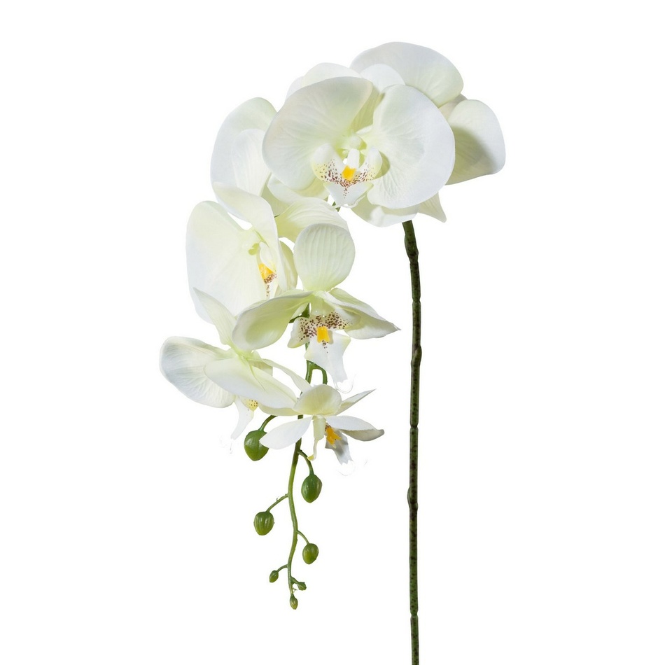 Umelá Orchidea biela