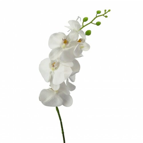 Umelá Phalenopsis biela