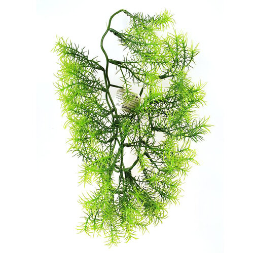 Umelá kvetina Asparagus