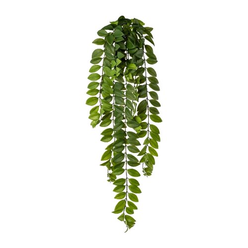 Umelá rastlina Columnea popínavá