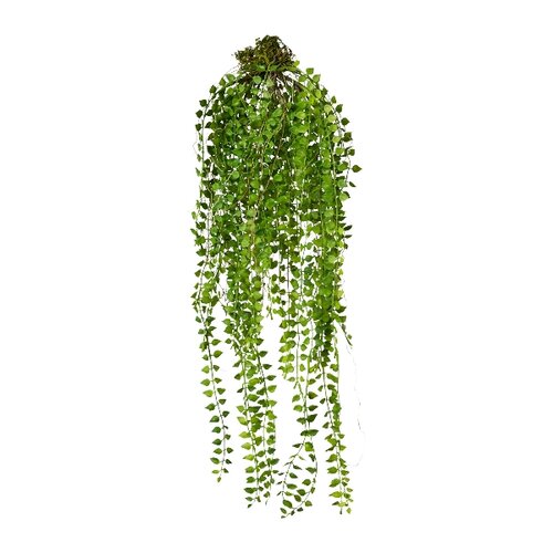 Umelá rastlina Columnea závesná