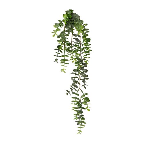 Umelá rastlina Eukalyptus závesná