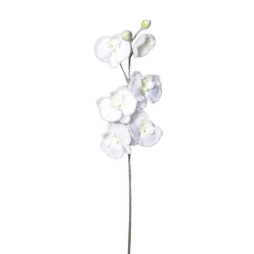 Umelá zasnežená Orchidea biela