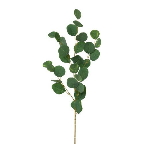 Umelý Eucalyptus
