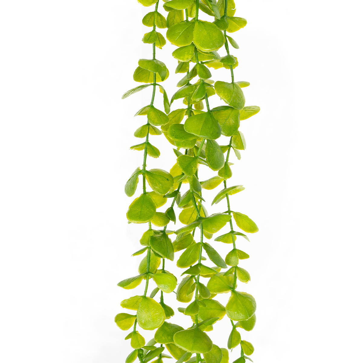 Umelý krík drobnolistý Eukalyptus