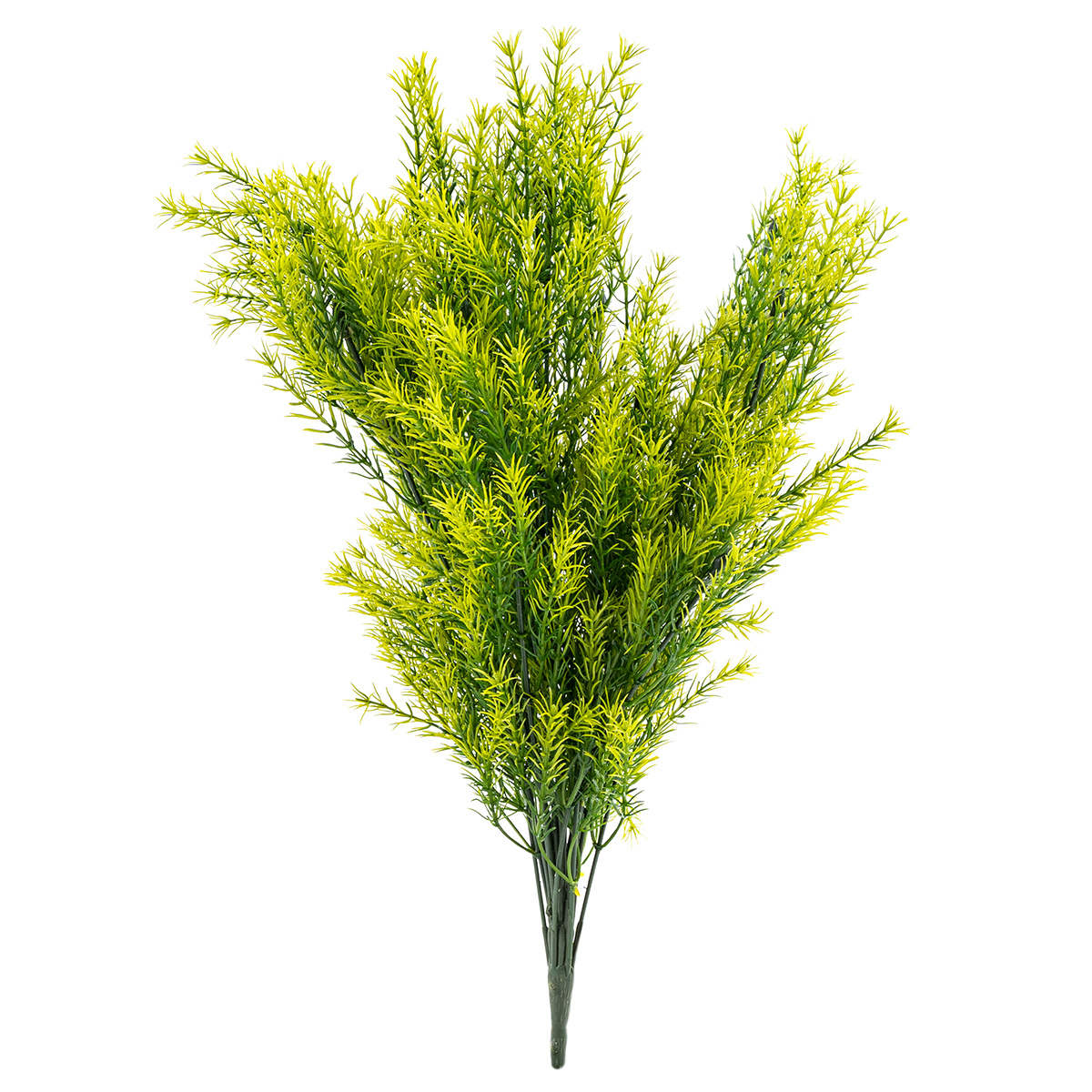 Umelý zväzok Asparagus