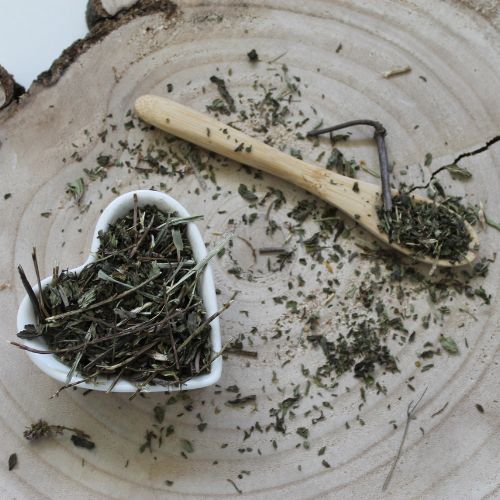 Mäta klasnatá - vňať narezaná - Mentha spicata - Folium menthae 250 g