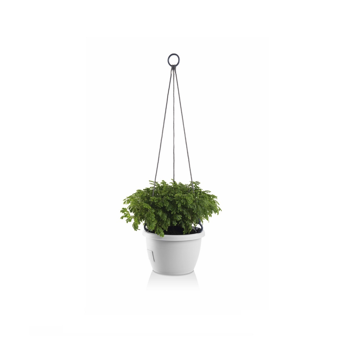 Gardenico Samozavlažovací závesný kvetináč Marina biela