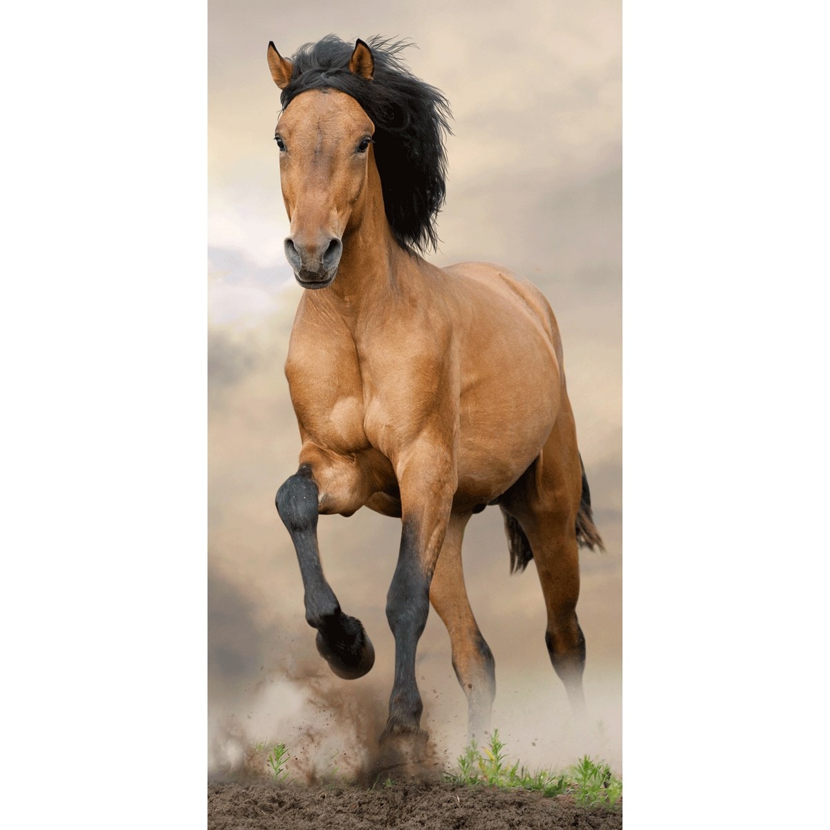 Jerry Fabrics Osuška Horse