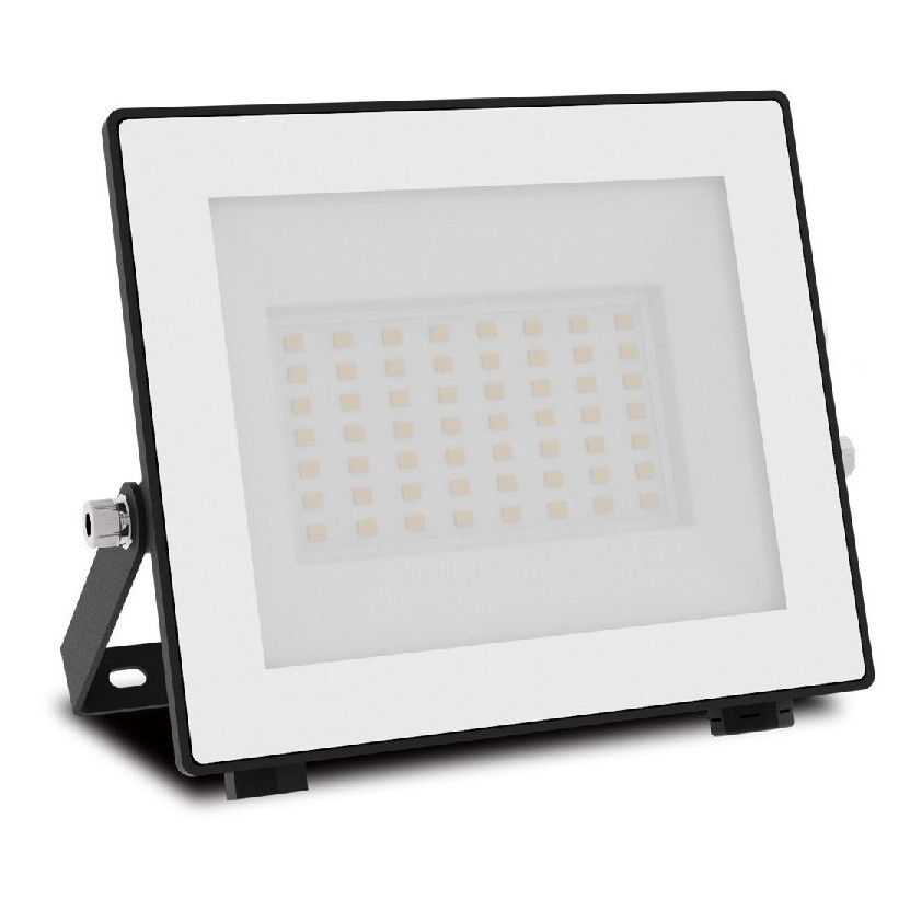 Philips Lois UltraEfficiency Outdoor LED FloodLight
