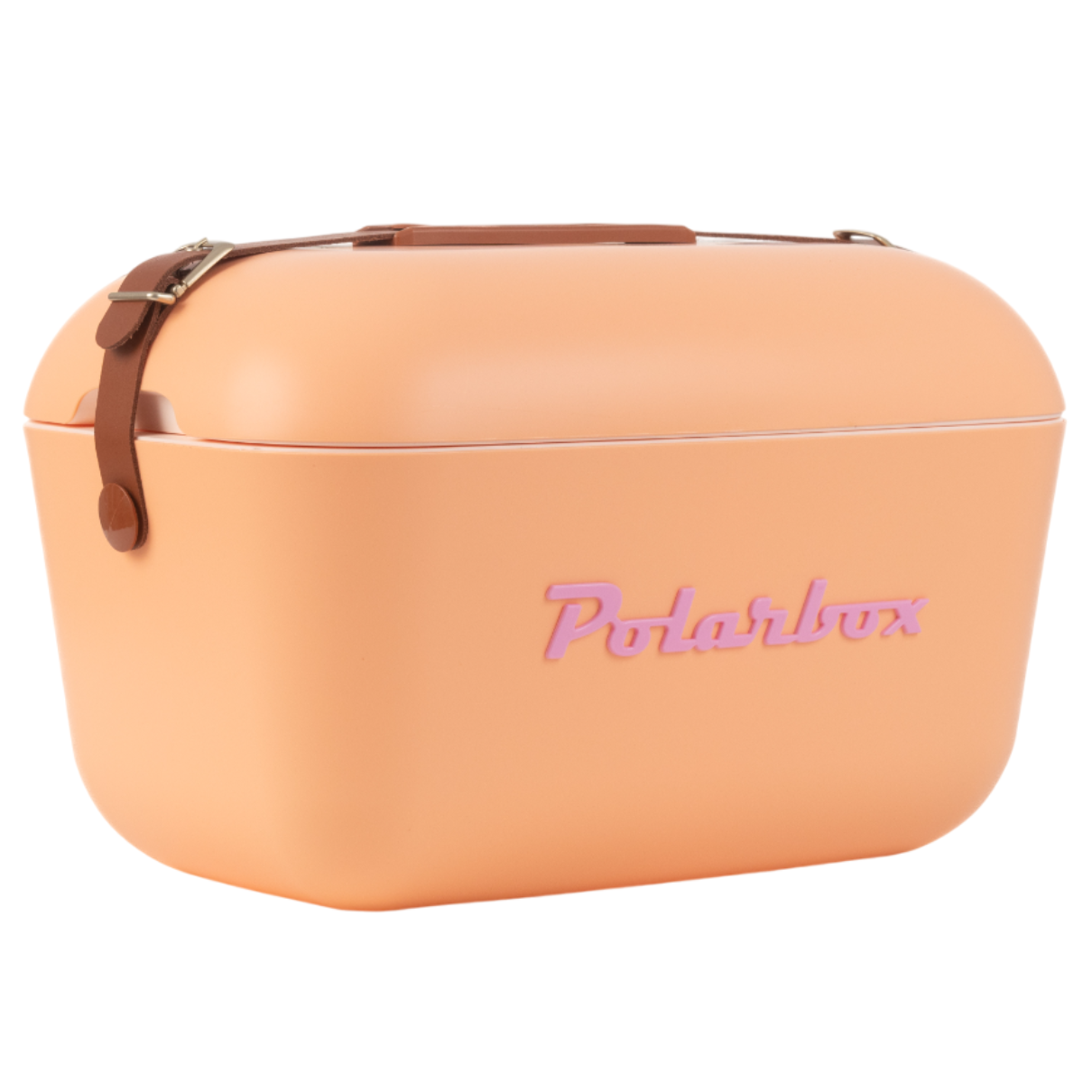 Polarbox Chladiaci box Classic 20 l