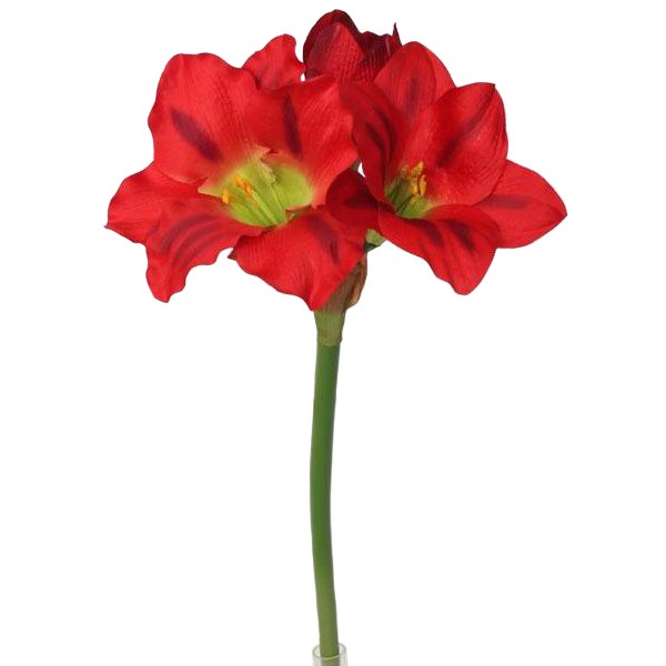 Umelá Amarylis červená