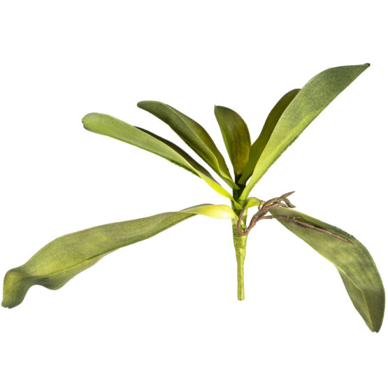 Umelý List orchidey s korienkami