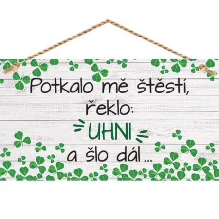 Bohemia Gifts Dekoračný obrázok na zavesenie - Šťastie Bohemia Gifts Dekoračný obrázok na zavesenie - Šťastie