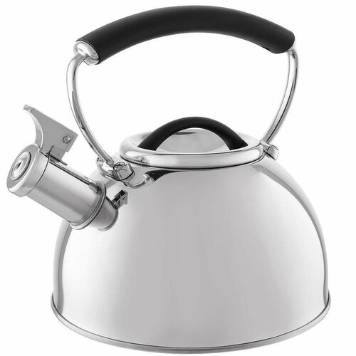 Florina Čajník Asta Florina Čajník Asta