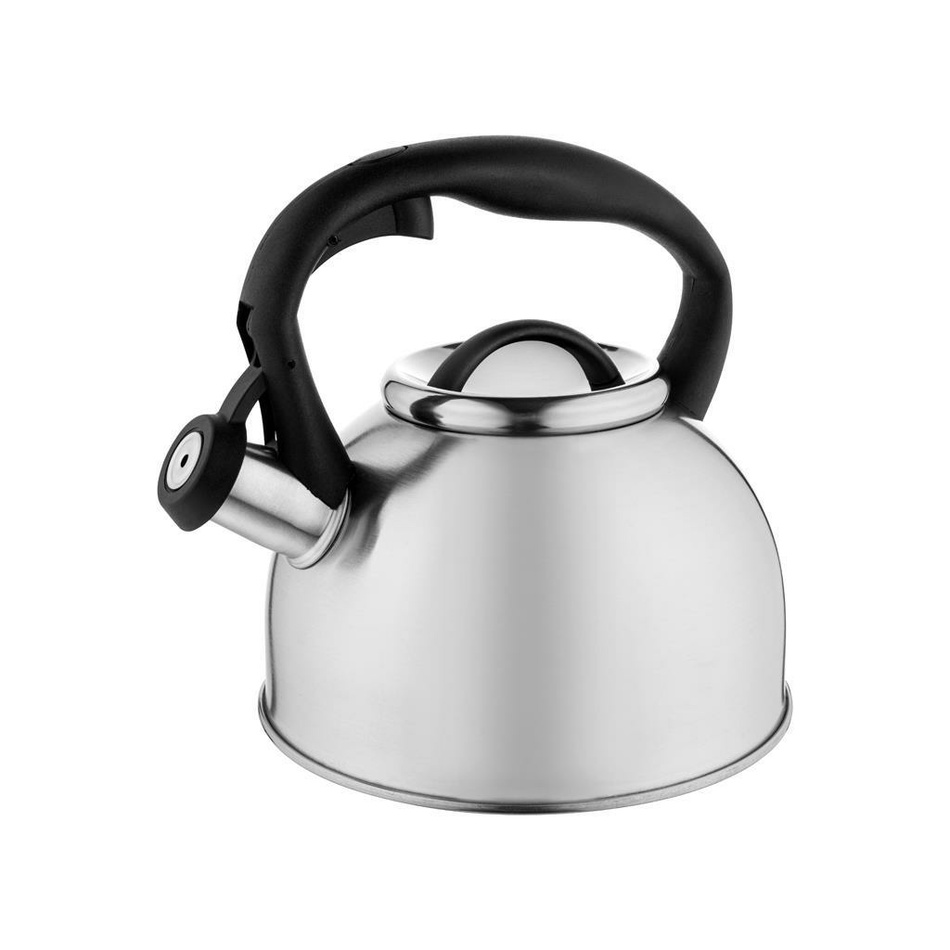 Florina Čajník Silia Florina Čajník Silia