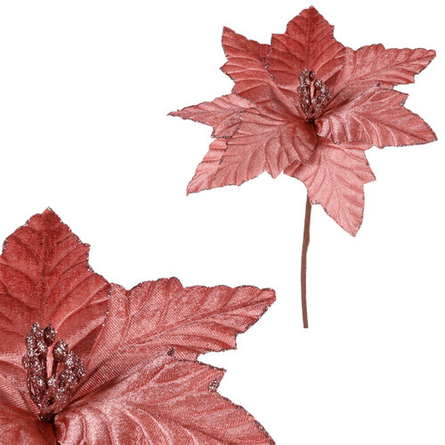 Kvet vianočnej ruže 22 cm