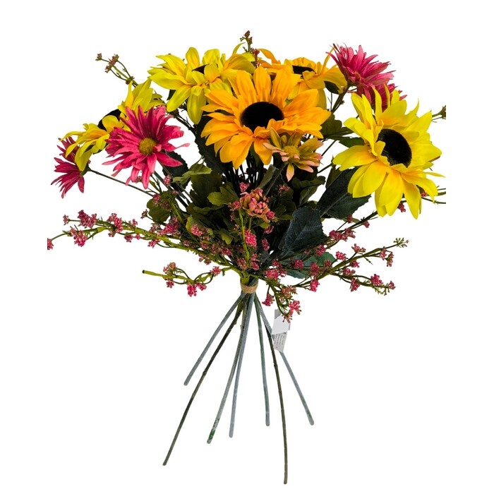 Kytica slnečnica Kytica slnečnica