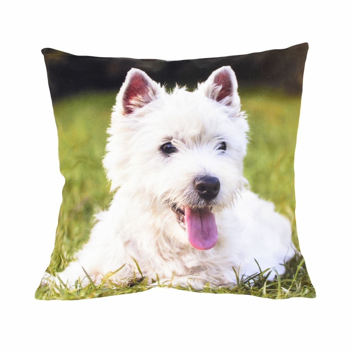 Forbyt Obliečka na vankúš Westík