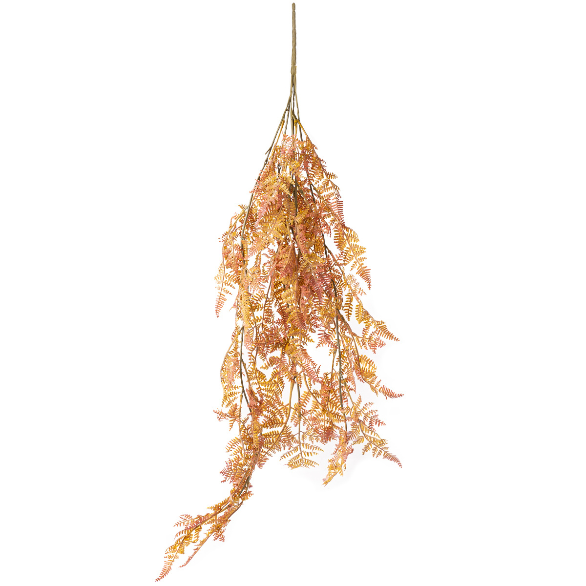 Papradie previs Papradie previs