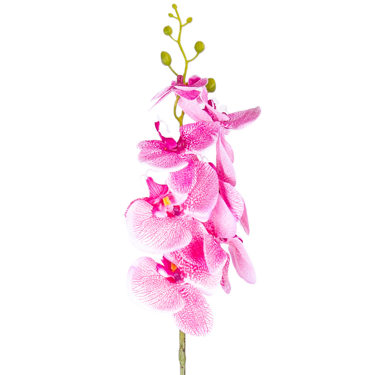 Umelá Orchidea tm. ružová Umelá Orchidea tm. ružová