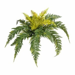 Umelá rastlina Bostonská papraď Umelá rastlina Bostonská papraď