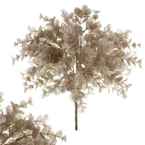 Eukalyptus Eukalyptus