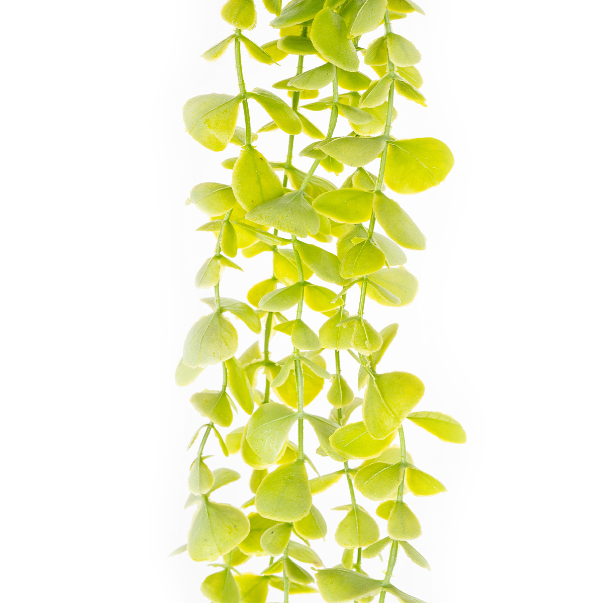 Umelý krík drobnolistý Eukalyptus Umelý krík drobnolistý Eukalyptus