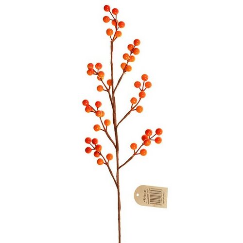 Vetvička s bobuľami na 7-mich výhonkoch Vetvička s bobuľami na 7-mich výhonkoch