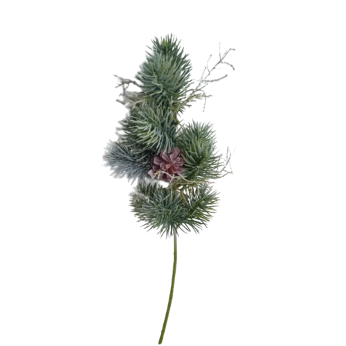 Vetvička srienistá borovica