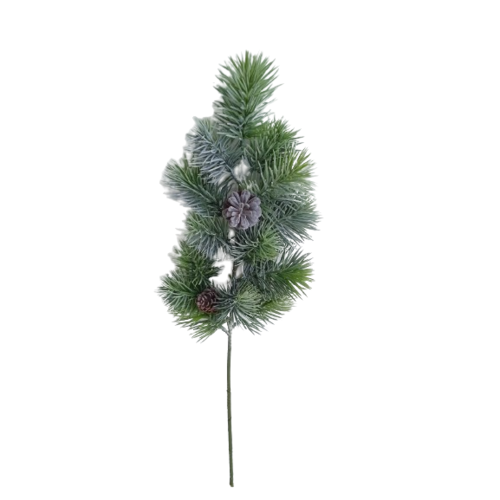 Vetvička srienistá borovica